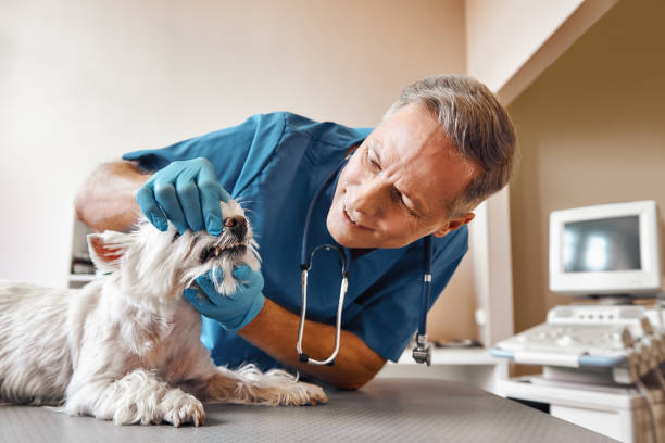  Barstow, CA Emergency Dentist Pros